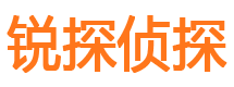 东丰市调查公司